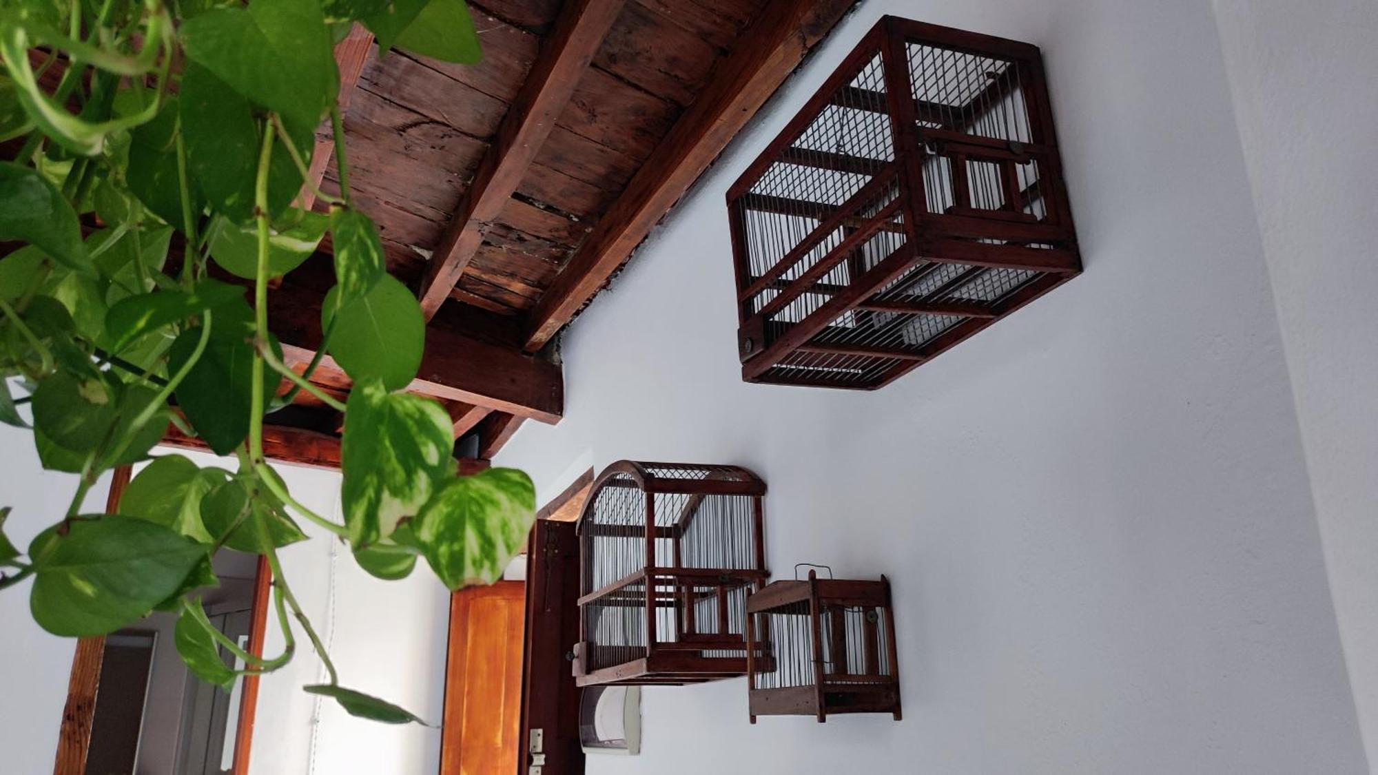 La Casita Del Muelle Βίλα Garachico  Εξωτερικό φωτογραφία